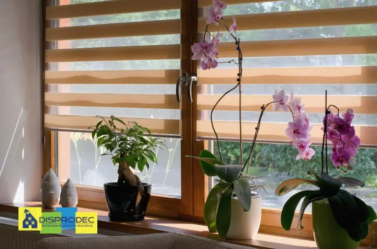 Cortinas Sheer Elegance