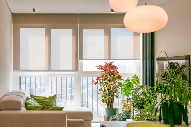 Cortinas enrollables