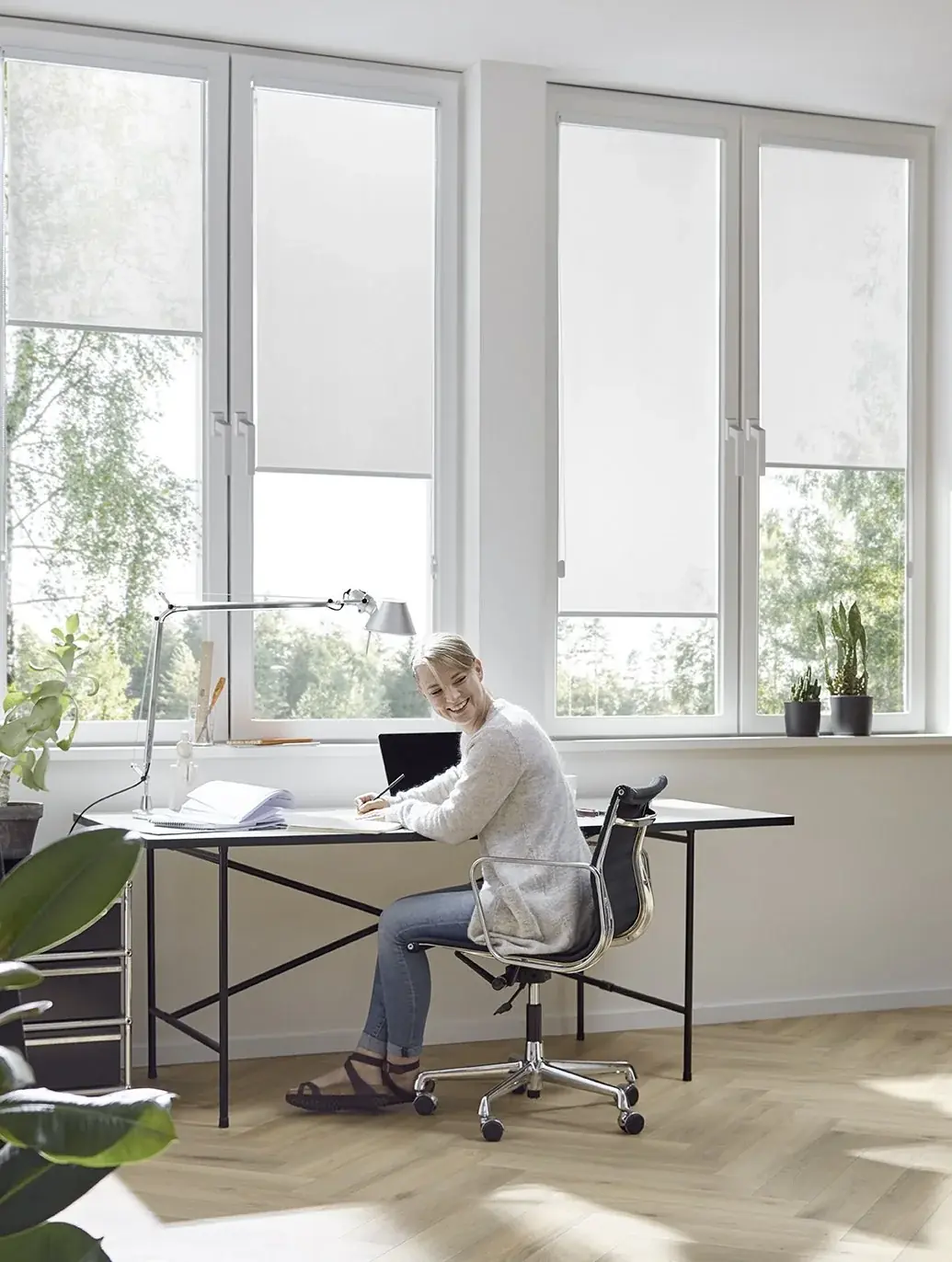 Zonas de lectura o estudio