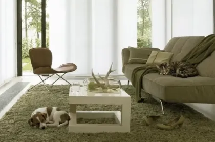 Cortinas blackout resistentes para mascotas